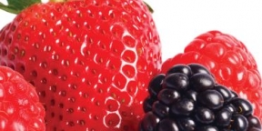 Topping Salsa Fruta del Bosque