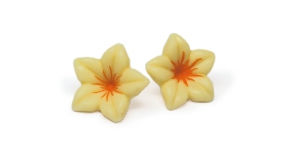 Choc. Flower White