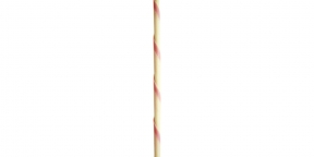 Choc. Panatella Strawberry
