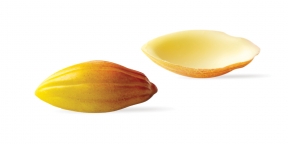 Choc. Cocoa Bean