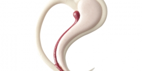 Choc. Sweet Heart