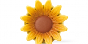 Choc. Tournesol
