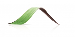 Choc. Twist Green