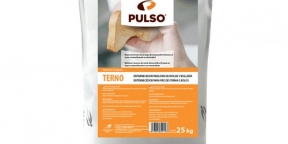 Pulso Terno